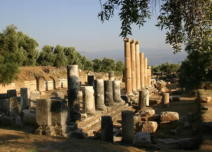 Отель Nysa Sultanhisar